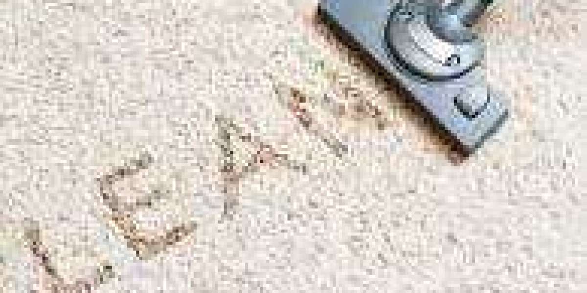 Improve Home Comfort with Professional Carpet Cleaning