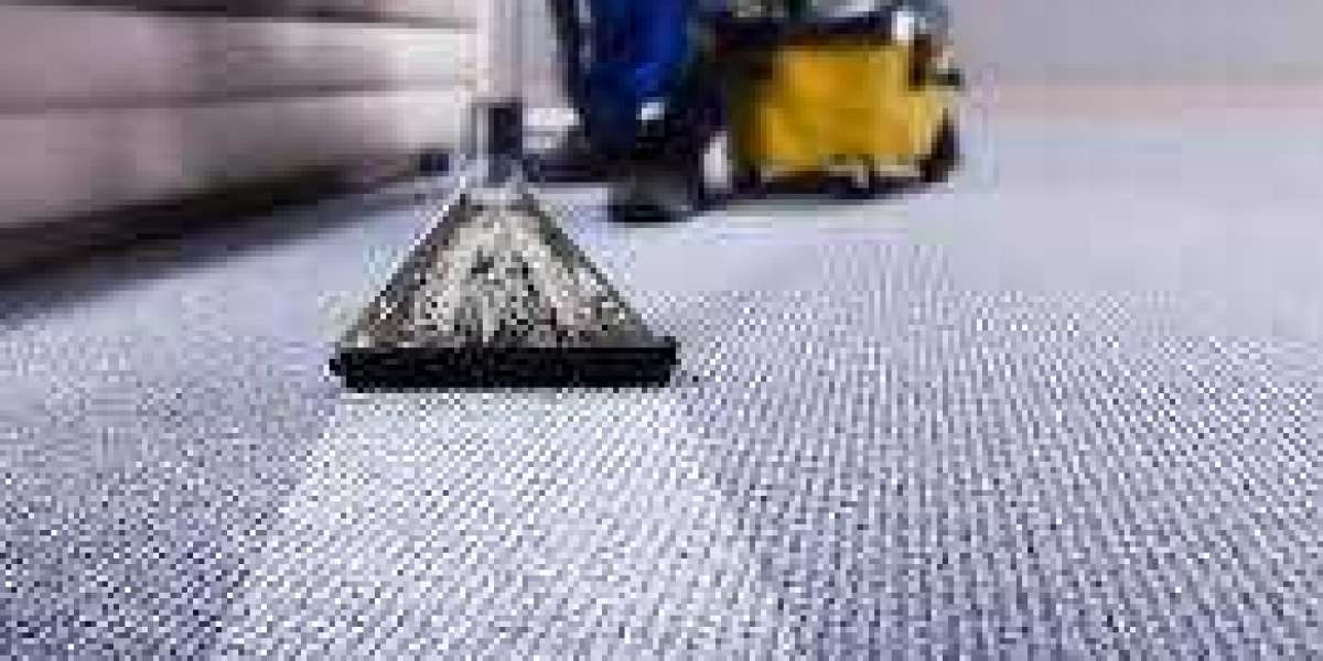 The Essential Benefits of Professional Carpet Cleaning for Home Comfort