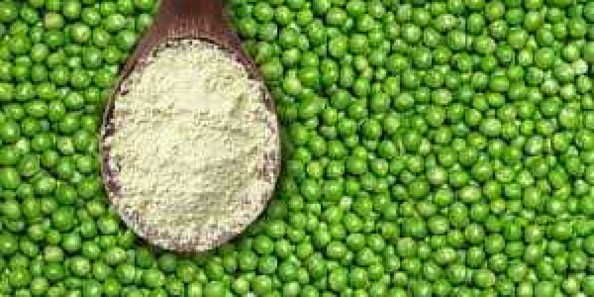 South Korea Pea Protein Market Growth: Size, Trends, Driving Factors, and Insights by 2032