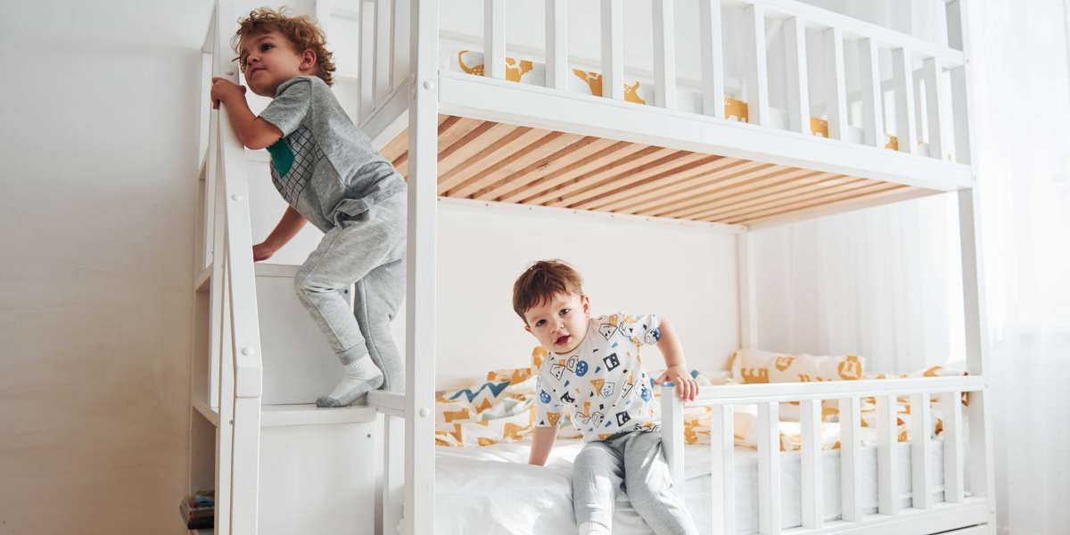 10 Websites To Help You Be A Pro In Best Bunk Bed For Teens