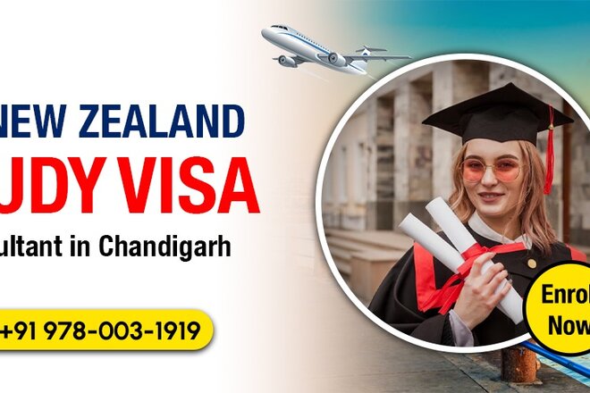 Trusted New Zealand Study Visa Consultants in Chandigarh for Aspiring Students - Online-Petition