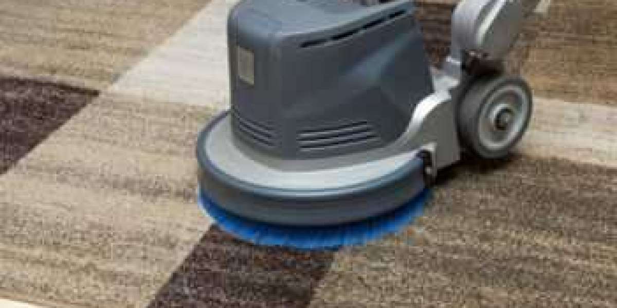 Why Every Home Needs the Benefits of Professional Carpet Cleaning