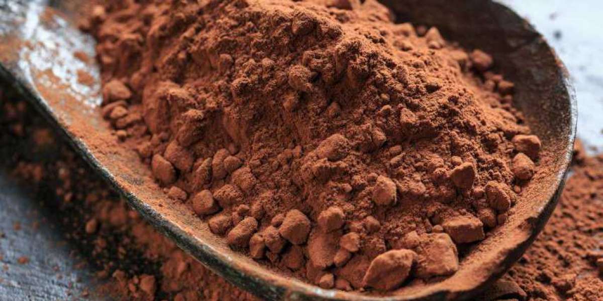 Rich, Velvety, and Delicious: How Cocoa Powder Transforms Your Favorite Recipes