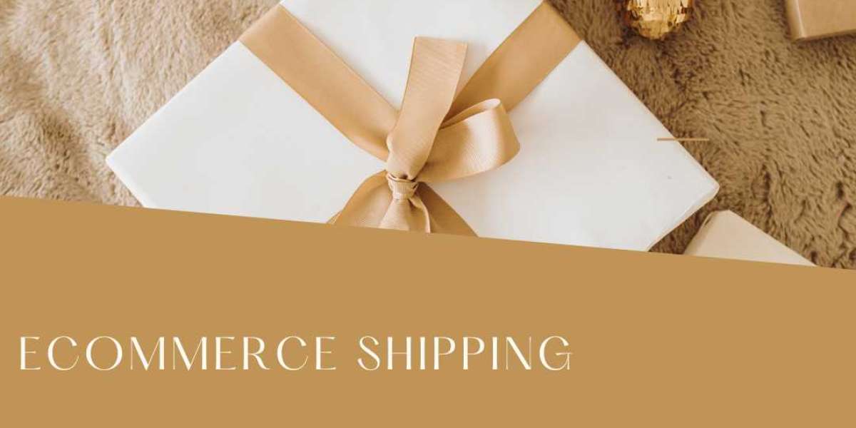 Top E-commerce Shipping Services in New Delhi