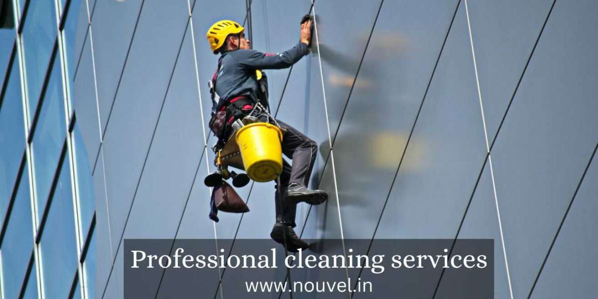 Professional Cleaning Services: Elevating Cleanliness and Hygiene