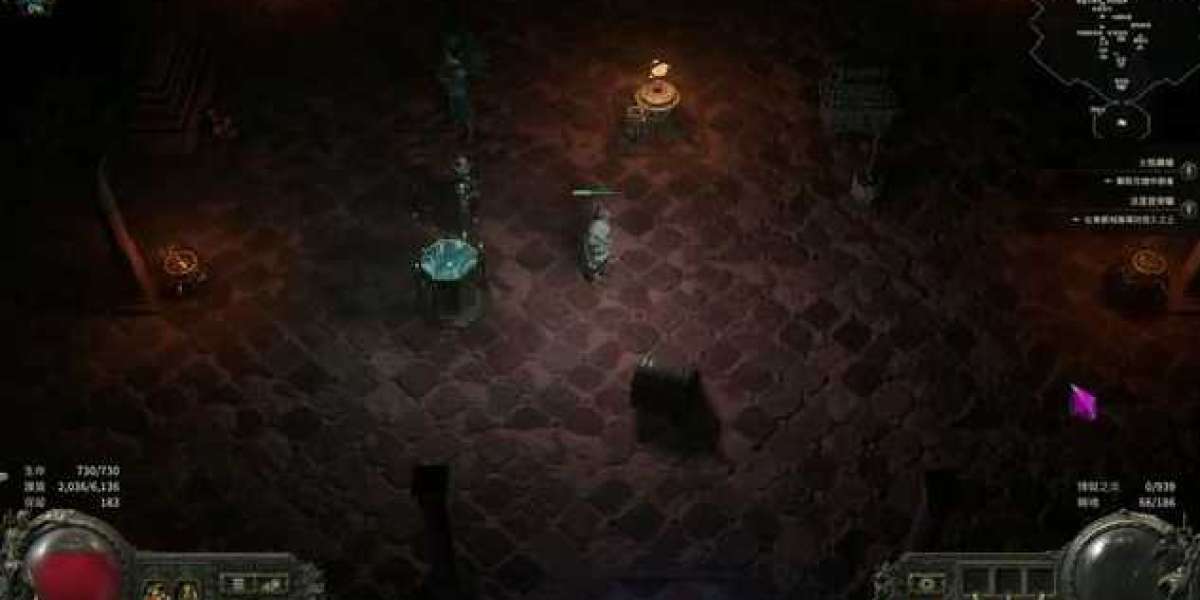 What is the Zoomancer Ritualist Summoner Build?