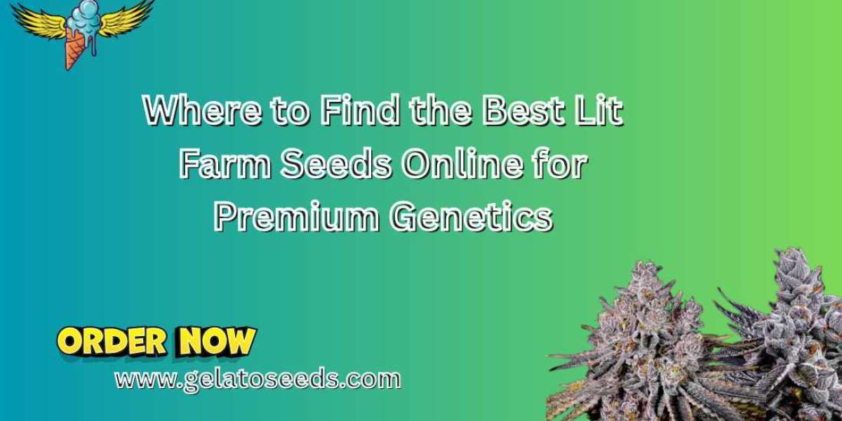 Where to Find the Best Lit Farm Seeds Online for Premium Genetics