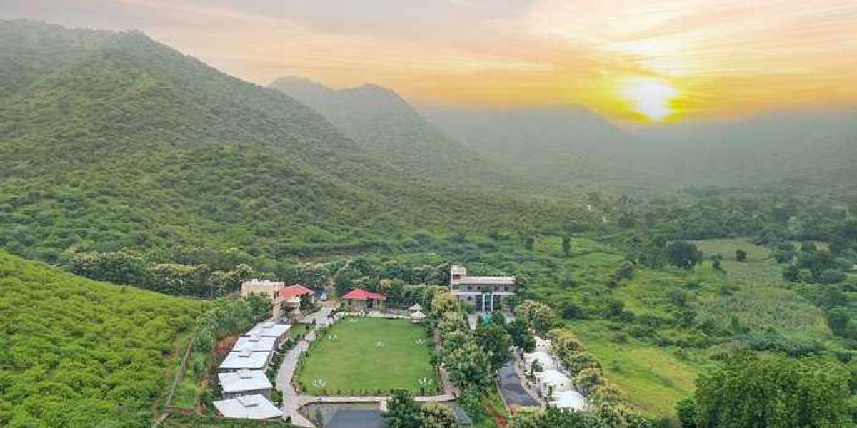 Healthy Eating Options in Udaipur: Where to Dine