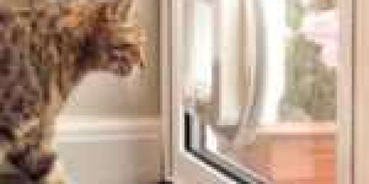 10 Things People Hate About Animal Door Installation