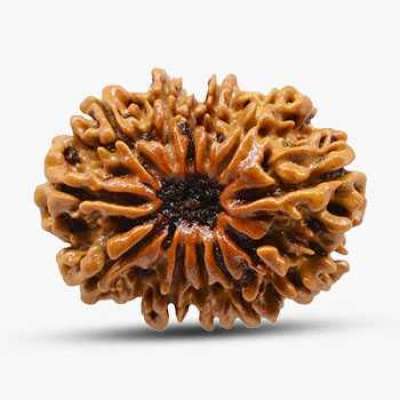 12 Mukhi R Profile Picture
