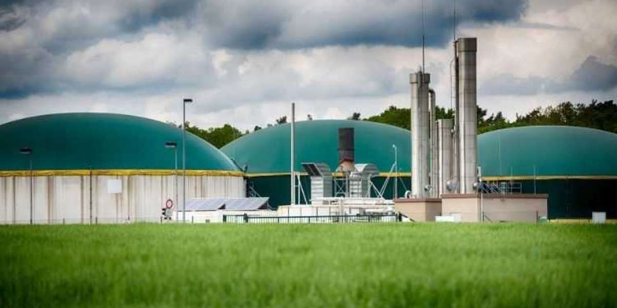 Biomass Energy: Global Growth and Asia Pacific Insights