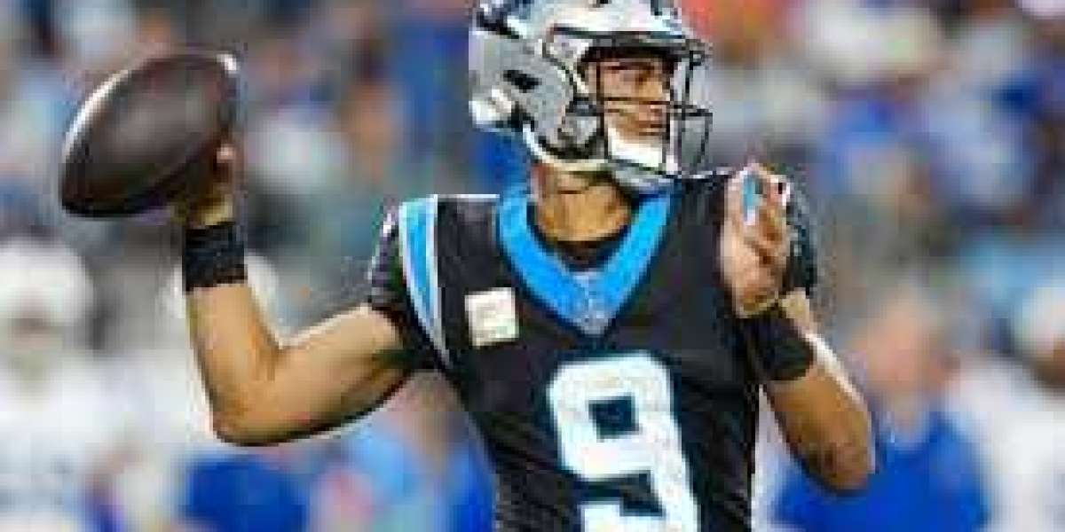 Pinpointing the Panthers best cap hits for 2025: Derrick Brown