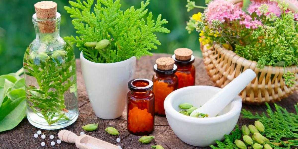 Chelidonium Majus Q Uses in Hindi – Liver Aur Skin Ke Liye Ek Asardaar Dawa