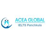 aceaglobal panchkula Profile Picture