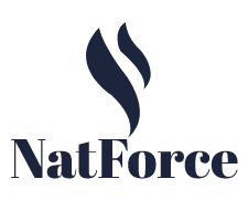 The Rise of Smart Chulhas: Blending Tradition with Technology - Natforce Latest News 2021 & 2022 From Across the Worlds