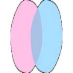 chatdansk Profile Picture