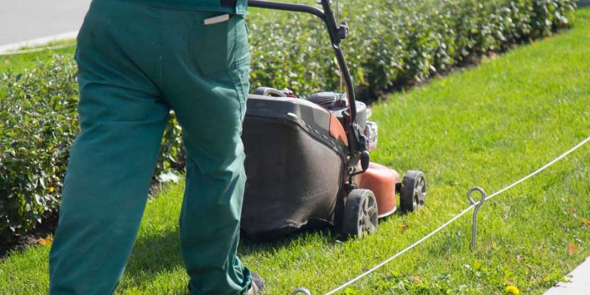Common Mistakes in Community Landscaping and How to Avoid Them