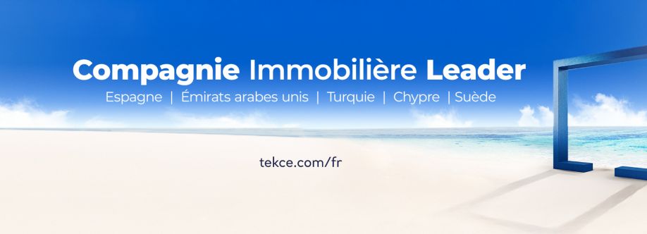 TEKCE Real Estate Cover Image