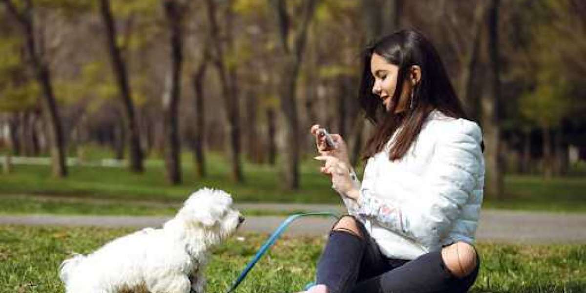 Pet Sitters in New Orleans: A Trusted Companion When You’re Away