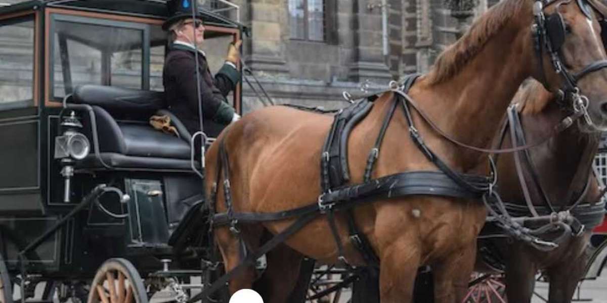 California Horse Transport That Is Safe & Trustworthy