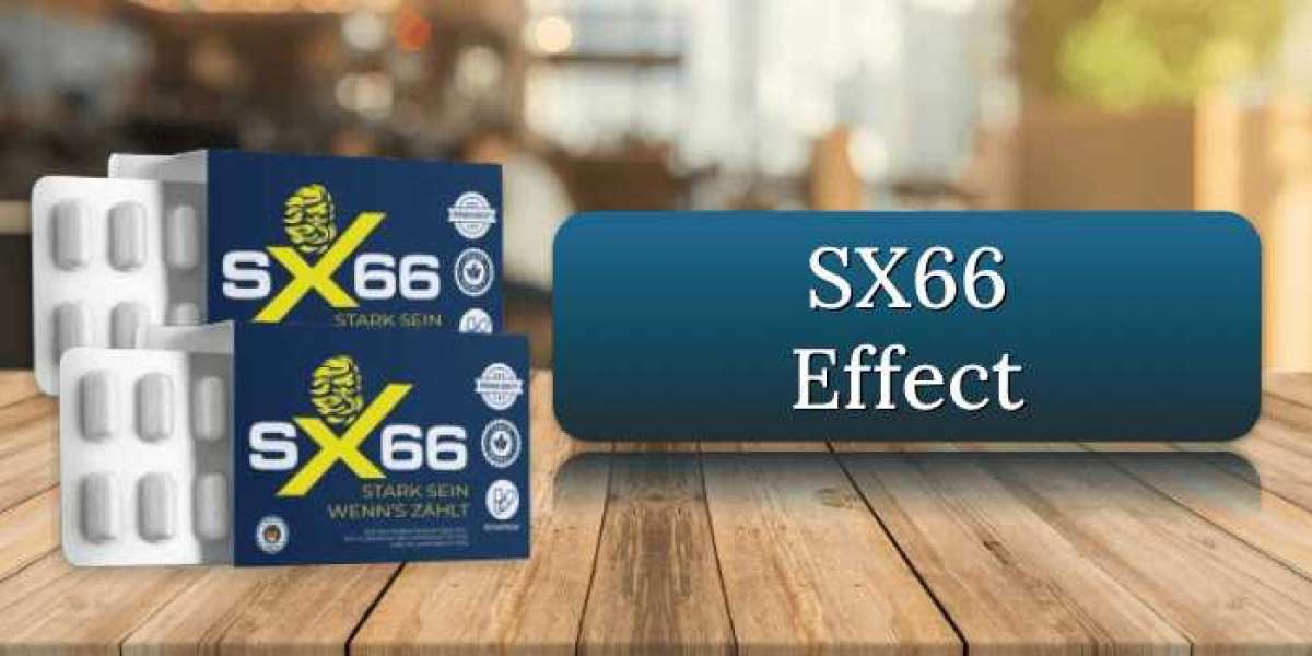 Welche Inhaltsstoffe sind in SX66 enthalten?