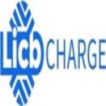 China LiCB EV Charger Profile Picture