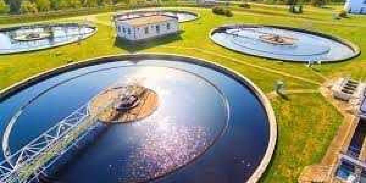 Waste Management Plant Report 2025: Project Cost, Machinery Requirement, and Setup Details