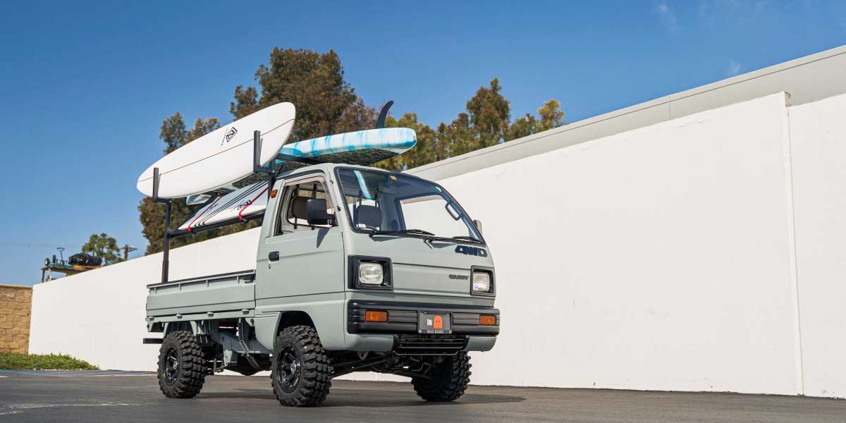 How Much Does a Suzuki Carry Really Cost to Own?