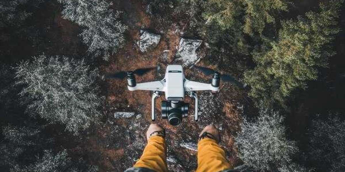 Article Picture
