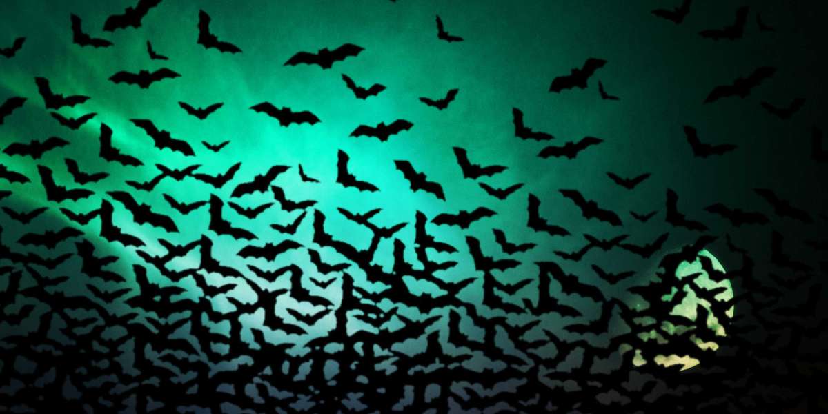 Developments in the net Buy of Modafinil Without Prescription