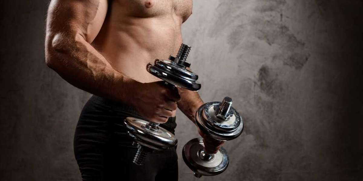 Legal SARMs for Bodybuilding: The Best Supplements You Can Buy Without a Prescription!