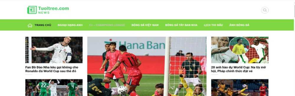 tuoitree com Cover Image