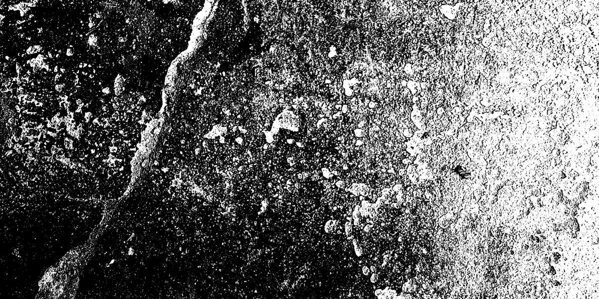 Exploring the Purchase and Use Of Modafinil: A Case Study